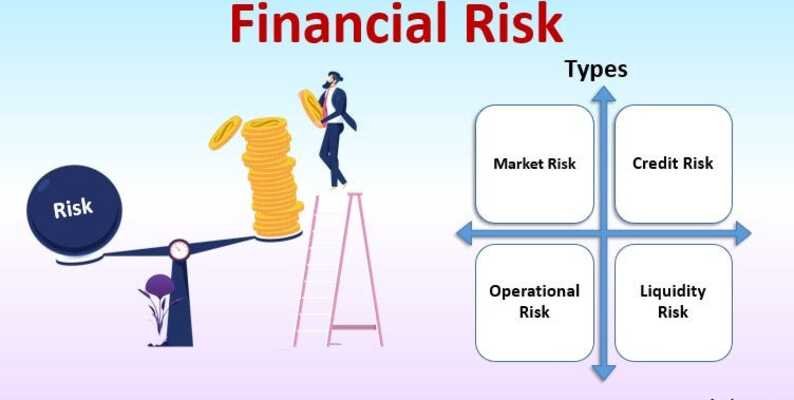 Risks and Challenges in Finance Company Lending