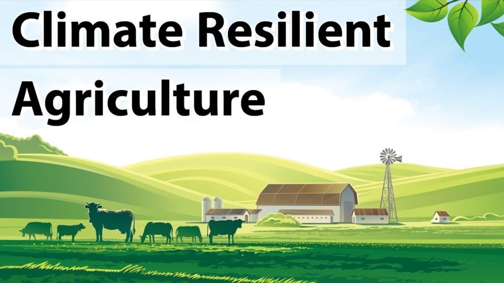 Climate Finance and Resilience for Smallholder Farmers