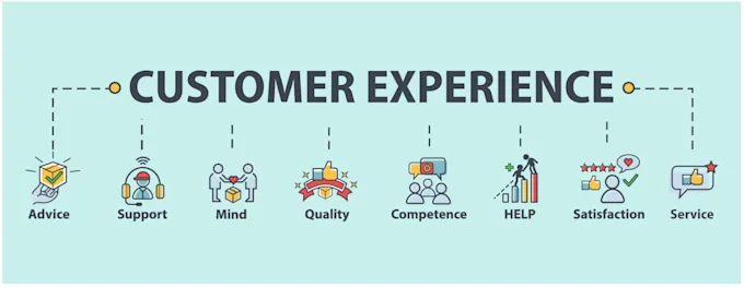 Customer Reviews and Experiences