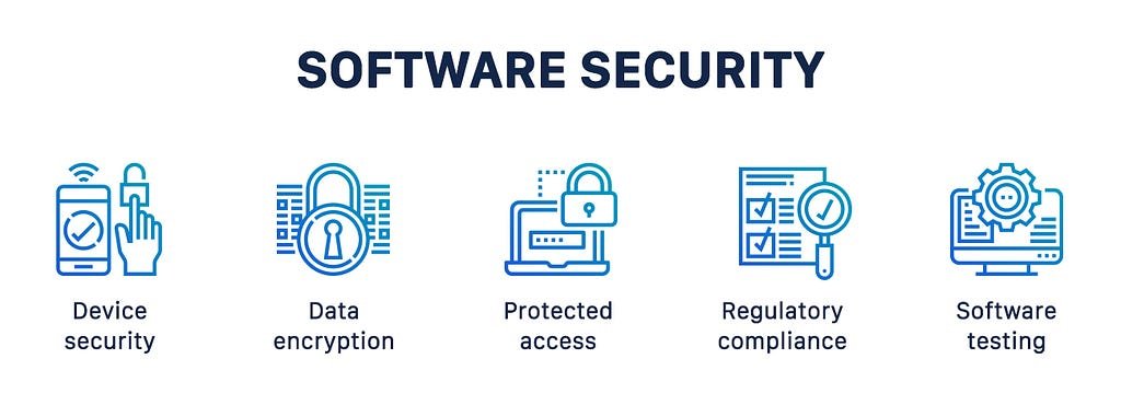 Application and Software Security Audits